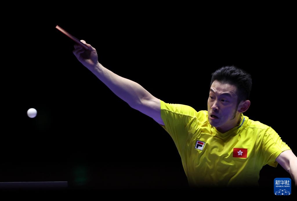 他的观点鲜 他的观点鲜